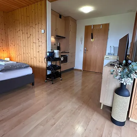 Capobnb, Montainview, Terrace * Aeschi Bei Spiez